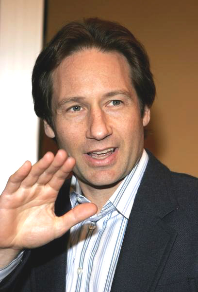 David Duchovny<br>Fun With Dick and Jane Los Angeles Premiere