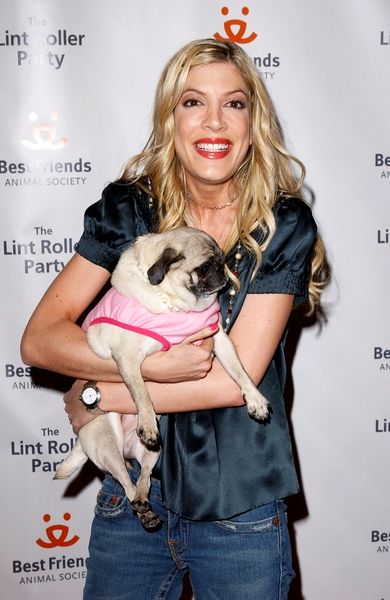 Tori Spelling<br>The 2004 Annual Lint Roller Party Benefiting Los Angeles Animals - Arrivals