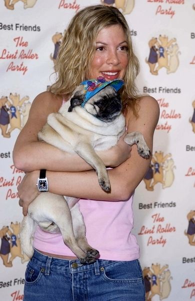 Tori Spelling<br>Best Friends Animal Sanctuary's 2003 Lint Roller Party - Arrivals