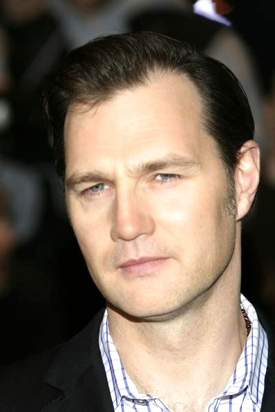 David Morrissey<br>Sony Pictures' premiere of 