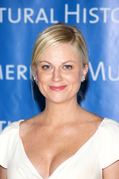 Amy Poehler<br>The Museum Gala 2008 - Arrivals