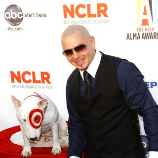 Pitbull in 2009 NCLR ALMA Awards - Arrivals