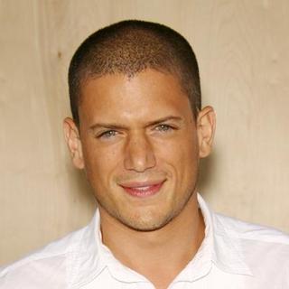 Wentworth Miller in FOX TCA All Star Party at the Pier