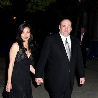 James Gandolfini, Deborah Lin in 7th Annual Tribeca Film Festival - Vanity Fair Party - Arrivals