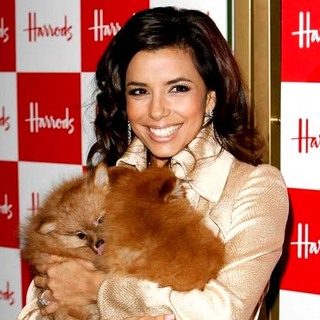 Eva Longoria in Eva Longoria at the Opening of The Harrod's Sale in London