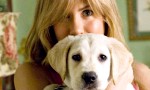 'Marley and Me' is still the top dog with 24.1 million dollars.