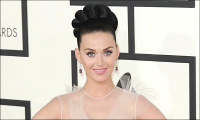 Katy Perry Promises 'Lion and Sharks' for Super Bowl Gig, Shares Details on Surprise Guest