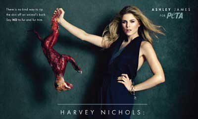 'Made in Chelsea' Star Ashley James Holding Skinned Fox in New PETA Ad