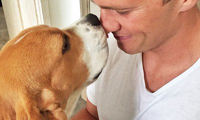 Gisele Bundchen and Tom Brady Introduce New Puppy Scooby