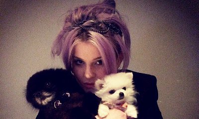 Kelly Osbourne Receives Backlash After Showing Off Her Expensive Dogs