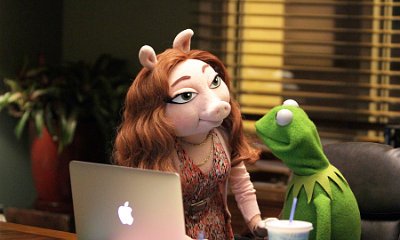 Kermit the Frog Clarifies His Relationship Status With Denise