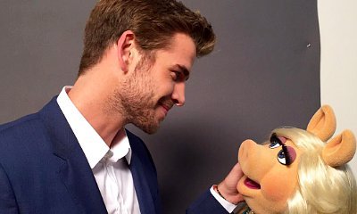 Liam Hemsworth to Guest Star on ABC's 'The Muppets'