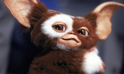 'Gremlins' Actor Zach Galligan Says New Movie Will Not Be a Reboot