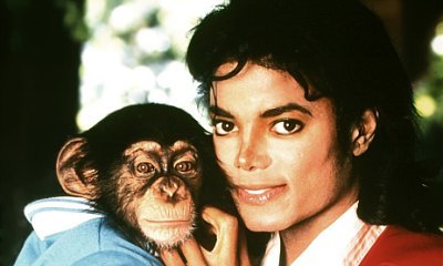 Dan Harmon to Make Movie About Michael Jackson's Pet Chimp, 'Bubbles'