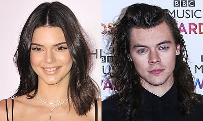 Inside Kendall Jenner and Harry Styles' Awkward Run-In at Kings of Leon Concert