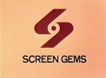 Screen Gems Coming with Rec Remake