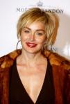 Sharon Stone's Overreaction to Many Medical Issues Leads to Custody Lost