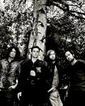 Video Premiere: The Killers' 'The World We Live In'