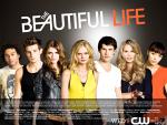 'The Beautiful Life' Gets the Axe