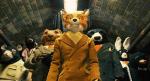 Wes Anderson Explains E-Mail Directing for 'The Fantastic Mr. Fox'