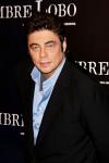 Benicio Del Toro to Leave Acting for Directing