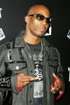 DMX Taken Into Custody for Using Illegal Drugs