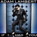 Official Cover Art of Adam Lambert's 'If I Had You'