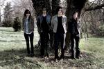 Artist of the Week: The Dead Weather