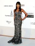 Naomi Campbell Testimony in Blood Diamond Case Opposed by Charles Taylor's Lawyers