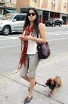 Dog Accused of Biting Vanessa Carlton Escapes Death