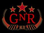 Guns N' Roses Shows NOT Canceled