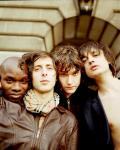 The Libertines' Reunion May Be Permanent One