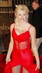 Bodyguard Testifies Anna Nicole Smith's Boyfriend Supplied Her With Drugs