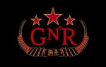 Guns N' Roses Arrived Late Again at London Concert