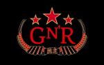 Guns N' Roses Promise to Release New Album Quickly