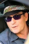 Charlie Sheen Accused of Assaulting His Female Companion in Hotel Room