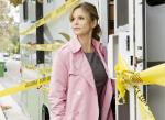 'The Closer' May Live After All, Without Kyra Sedgwick