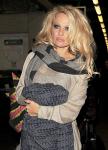 Pamela Anderson's Overzealous Fan Tried to Board Her Train