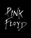 David Gilmour's Son Charged for Attacking Royal Car