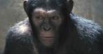 Video: Official First Look at Ape in 'Rise of the Planet of the Apes'