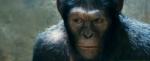 Fresh Teaser for 'Rise of the Planet of the Apes' Goes Online