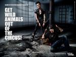 Tokio Hotel Join PETA to Boycott Animal Circuses