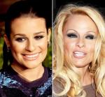 Lea Michele Backs Pamela Anderson's Campaign for Horse-Drawn Carriage Ban