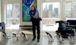 'Mr. Popper's Penguins' Character Spot Hits Web