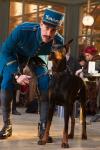2012 Oscars Nomination Put Nine Movies in Best Picture Race