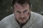 Liam Neeson's 'The Grey' Faces Animal Activists Wrath