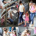 Pictures: Katie Holmes and Suri Enjoy the Afternoon at Central Park Zoo