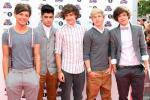 One Direction Name Their New Album 'Take Me Home'