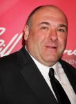 James Gandolfini Plots TV Return With HBO's 'Criminal Justice'