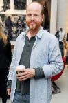 Joss Whedon Says 'Avengers 2' Will Dig 'Something That Is Complex and Difficult'